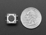 Tactile Switch Buttons (12mm square, 6mm tall) x 10 pack