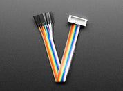 10-pin IDC Socket Rainbow Breakout Cable