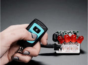 Keyfob 2-Button RF Remote Control - 315MHz