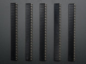 0.1" 36-pin Strip Right-Angle Female/Socket Header (5 pack)