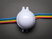 30mm Dots - 12V Digital RGB LED Pixels (Strand of 20)