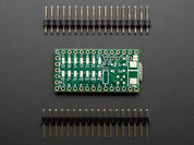 Teensy 3.1 + header