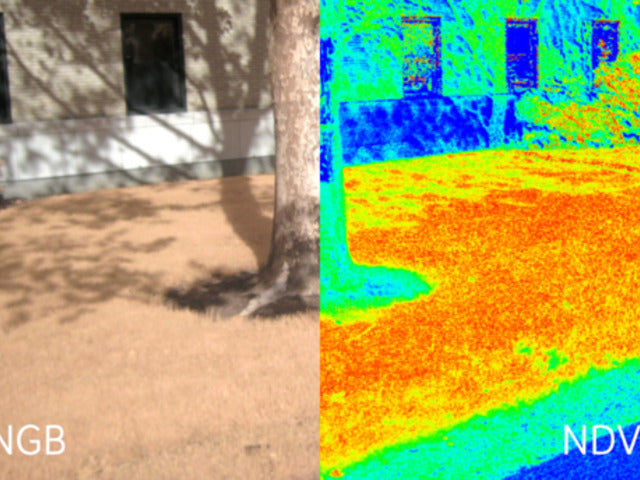 Infragram DIY Plant Analysis Webcam