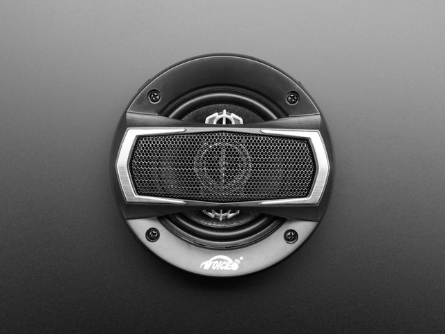 20W 4 Ohm Full Range Speaker