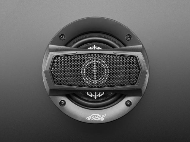 20W 4 Ohm Full Range Speaker