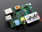 The Raspberry Leaf (Three Pack)