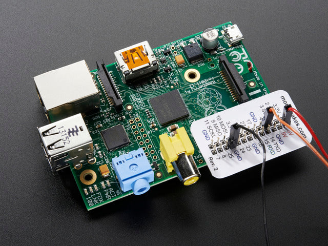 The Raspberry Leaf (Three Pack)