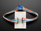 Female-Female 2.54 to 2.0mm Jumper Wires x 40
