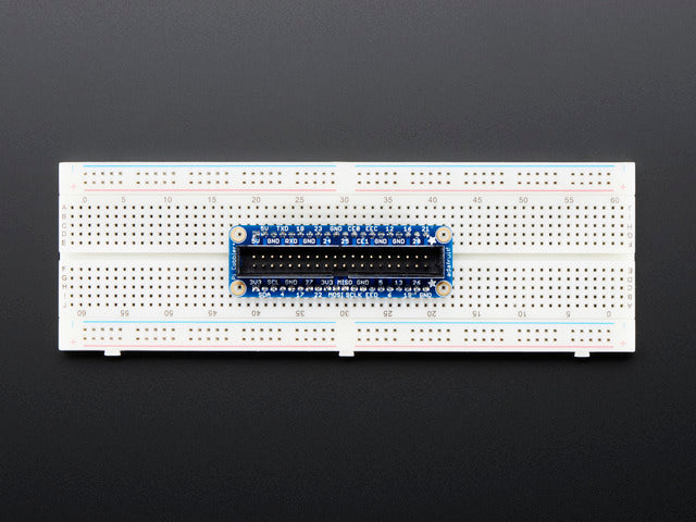 Assembled Pi Cobbler Plus - Breakout Cable
