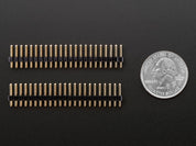 2x23 Male Headers for BeagleBone Black - Two Pack!