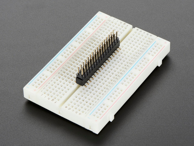 2103-01.jpg