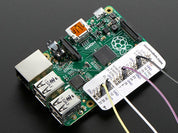 The Raspberry Leaf for Model B+/A+/Pi 2/Pi 3 (Two Pack)