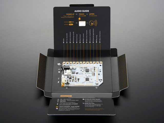 Bare Conductive Touch Board
