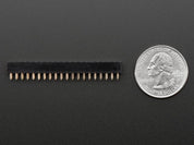 GPIO Header for Raspberry Pi HAT - 2x20 Short Female Header