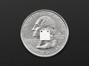 NeoPixel Cool White LED w/ Integrated Driver Chip - 10 Pack