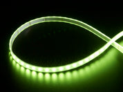 Analog RGBW LED Strip - RGB plus Warm White - 60 LED/m