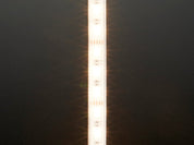 Analog RGBW LED Strip - RGB plus Warm White - 60 LED/m 1m