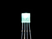 Diffused Rectangular 5mm RGB LEDs - Pack of 10