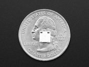 NeoPixel RGBW LEDs w/ Integrated Driver Chip - Natural White