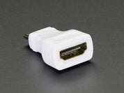 Mini HDMI Plug to Standard HDMI Jack Adapter