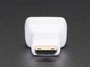 Mini HDMI Plug to Standard HDMI Jack Adapter