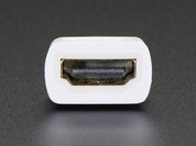 Mini HDMI Plug to Standard HDMI Jack Adapter