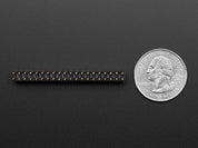Break-away 0.1" 2x20-pin Strip Dual Male Header