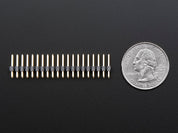 Break-away 0.1" 2x20-pin Strip Dual Male Header