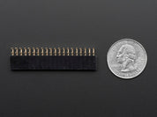 0.1" 2x20-pin Strip Right Angle Female Header