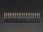0.1" 2x20-pin Strip Right Angle Female Header
