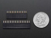 Header Kit for Feather - 12-pin and 16-pin Female Header Set