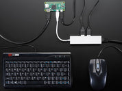 Ethernet Hub and USB Hub w/ Micro USB OTG Connector