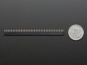 36-pin 0.1" Short Female Header - Pack of 5