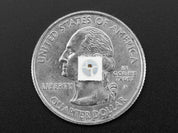 NeoPixel RGB 5050 LED with Integrated Driver Chip - 100 Pack