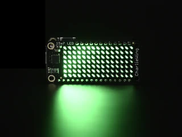 3136-03.jpg