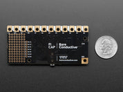 Bare Conductive Pi Cap