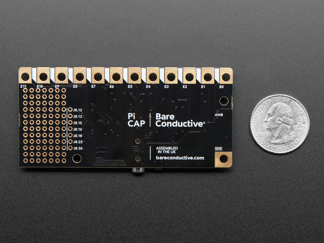 Bare Conductive Pi Cap