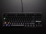 Keyboard with Blue-type Mechanical Switches and LED Backlights