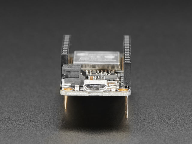 3619-02.jpg