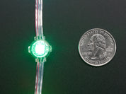 Adafruit NeoPixel LED Dots Strand - 20 LEDs at 2" Pitch