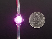 Adafruit NeoPixel LED Dots Strand - 20 LED 4" Pitch