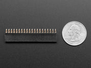 Hammer Header Female - Solderless Raspberry Pi Connector