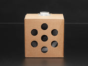 Google AIY Voice Kit for Raspberry Pi V2