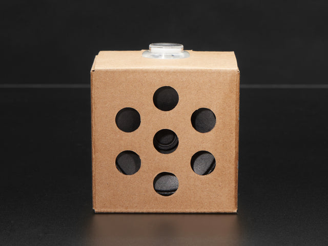 Google AIY Voice Kit for Raspberry Pi V2