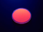 Fluorescent Pigment - Pink