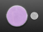 Fluorescent Pigment - Purple