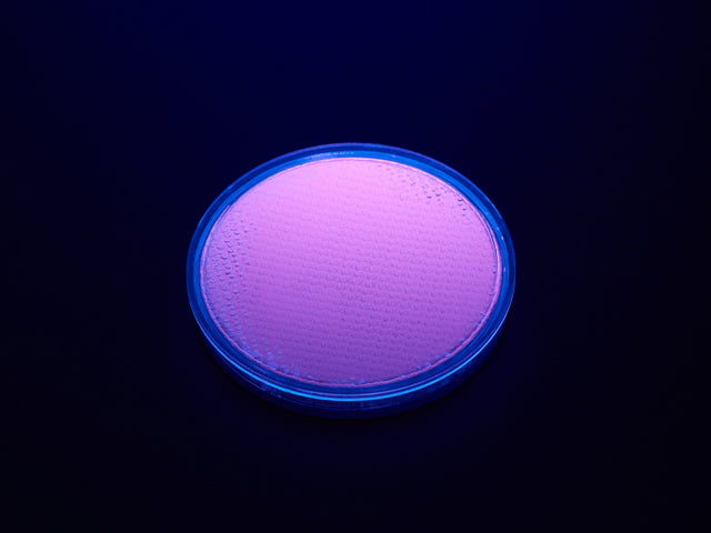 Fluorescent Pigment - Purple