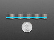 Break-away 0.1" 36-pin strip male header - Blue - 10 pack