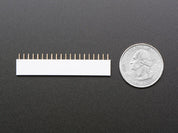 20-pin 0.1" Female Header - White - 5 pack