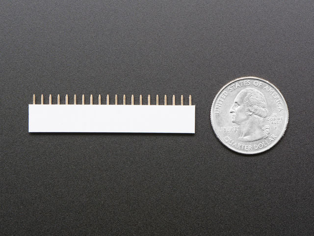 20-pin 0.1" Female Header - White - 5 pack